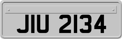 JIU2134