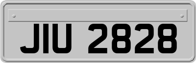 JIU2828