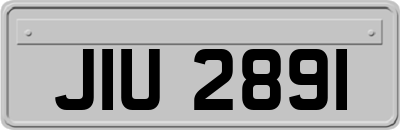 JIU2891