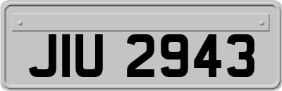 JIU2943