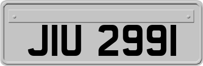 JIU2991