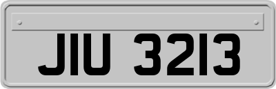 JIU3213