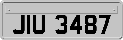 JIU3487