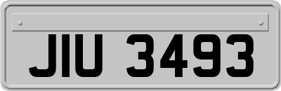 JIU3493