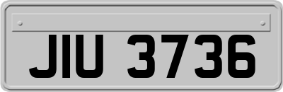 JIU3736