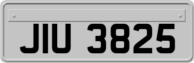 JIU3825