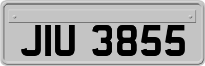 JIU3855