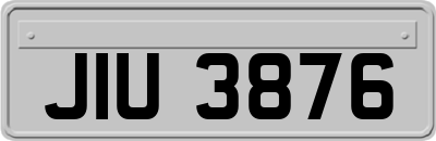 JIU3876