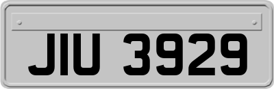 JIU3929