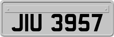 JIU3957