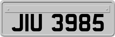 JIU3985