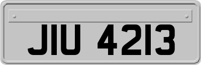 JIU4213