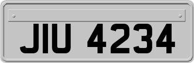 JIU4234