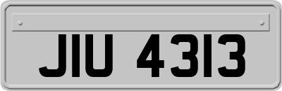 JIU4313
