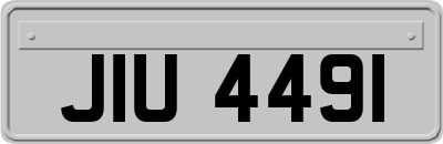 JIU4491