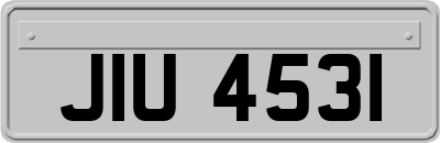 JIU4531