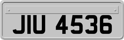 JIU4536