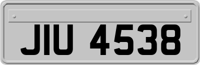 JIU4538