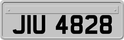 JIU4828