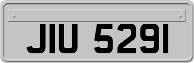 JIU5291