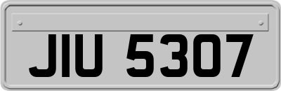 JIU5307
