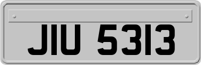 JIU5313