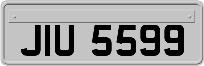 JIU5599