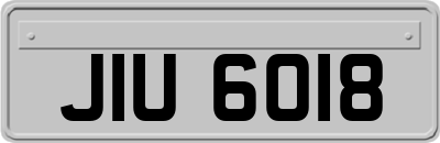 JIU6018