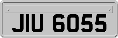 JIU6055