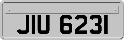 JIU6231
