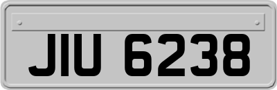 JIU6238