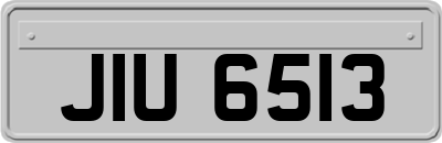 JIU6513