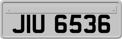 JIU6536