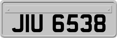 JIU6538