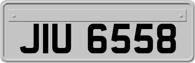 JIU6558