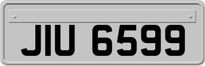 JIU6599