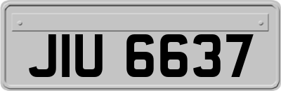 JIU6637