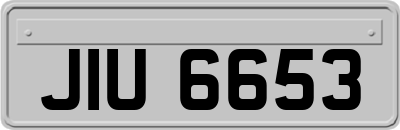 JIU6653