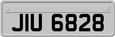 JIU6828