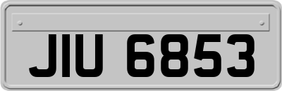 JIU6853
