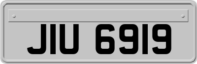 JIU6919