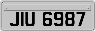 JIU6987