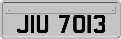 JIU7013