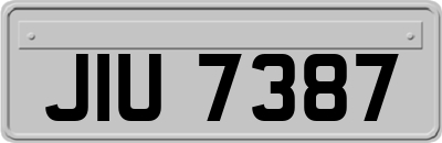 JIU7387