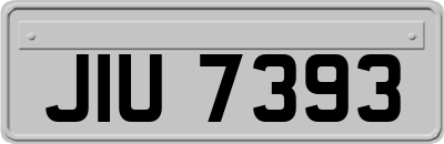 JIU7393