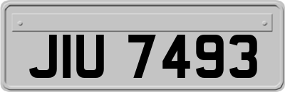 JIU7493