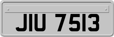 JIU7513