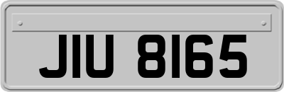 JIU8165
