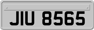 JIU8565