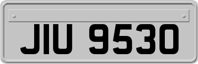 JIU9530
